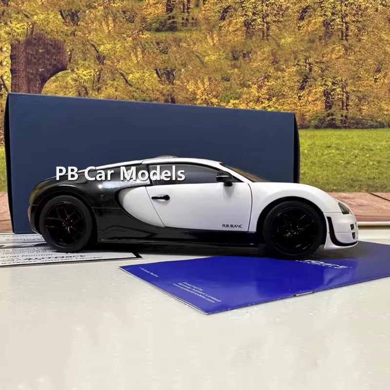 AUTOART 1/18 Weilong Panda Sport PUR Sports Car Alloy Car Model